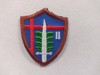 Picture of HT Badge